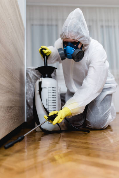 Best Fumigation Services  in Big Beaver, PA